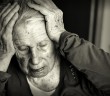 Hlíva a Alzheimerova nemoc